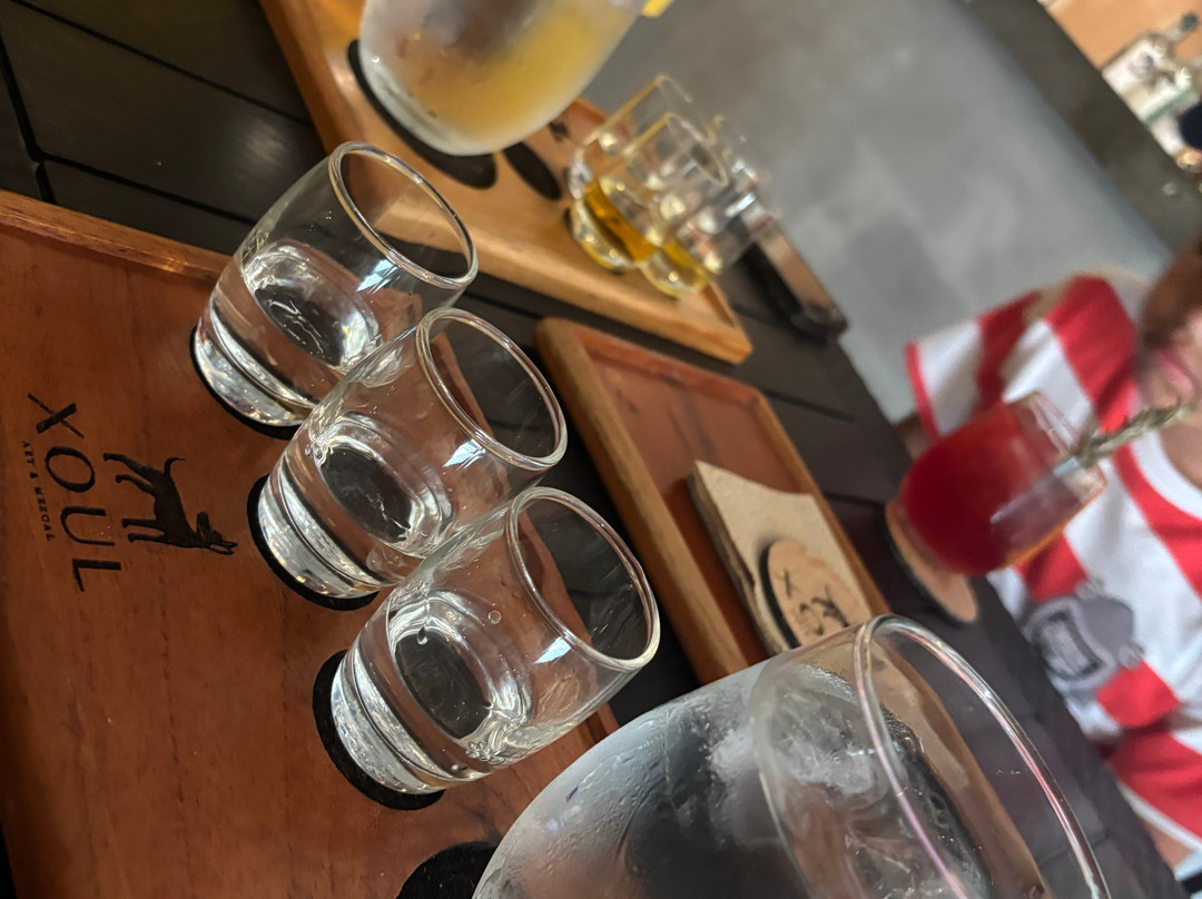 Xoul Art & Mezcal-巴利亚多利德必去景点