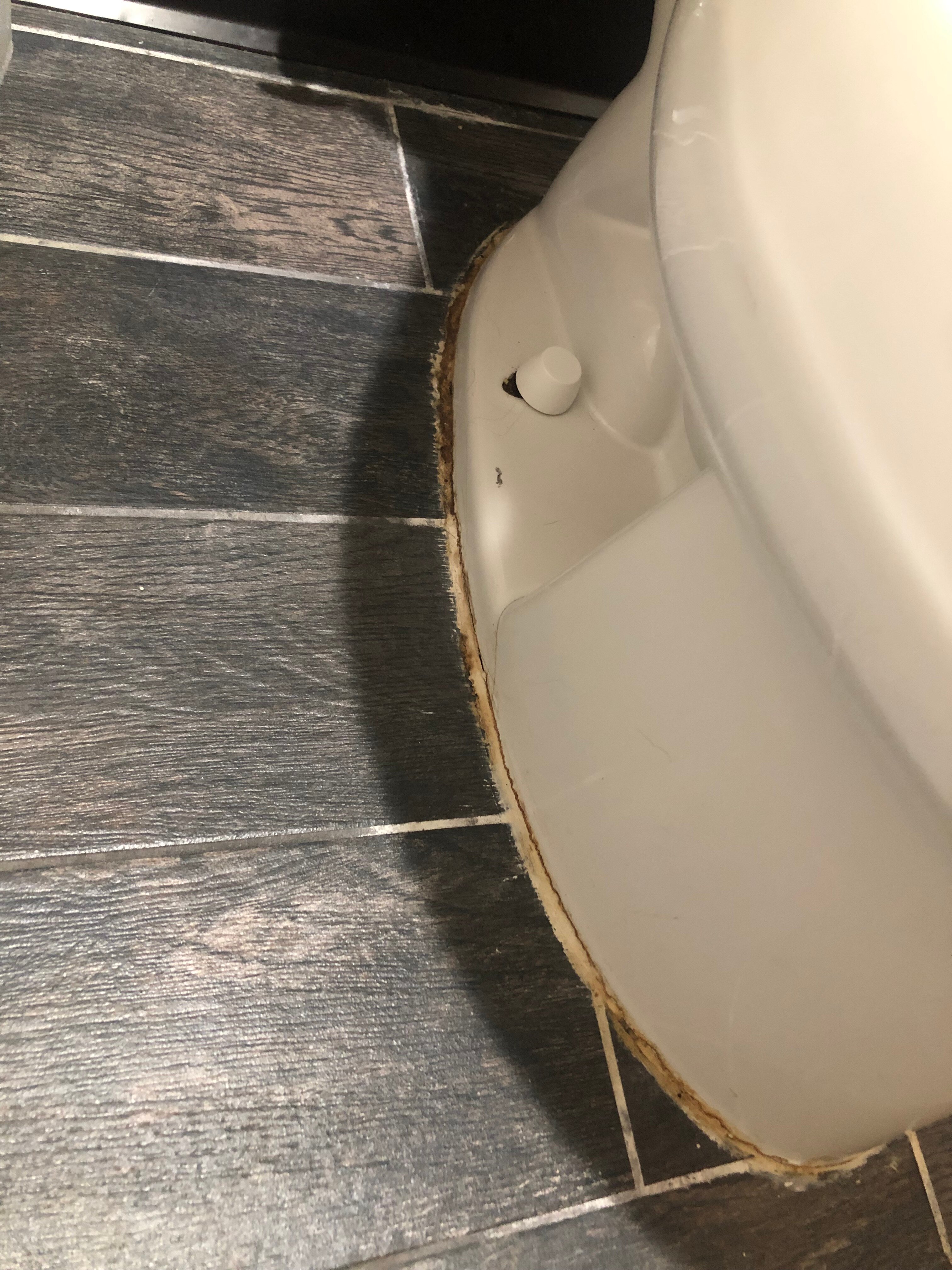 Quality Inn & Suites-官方