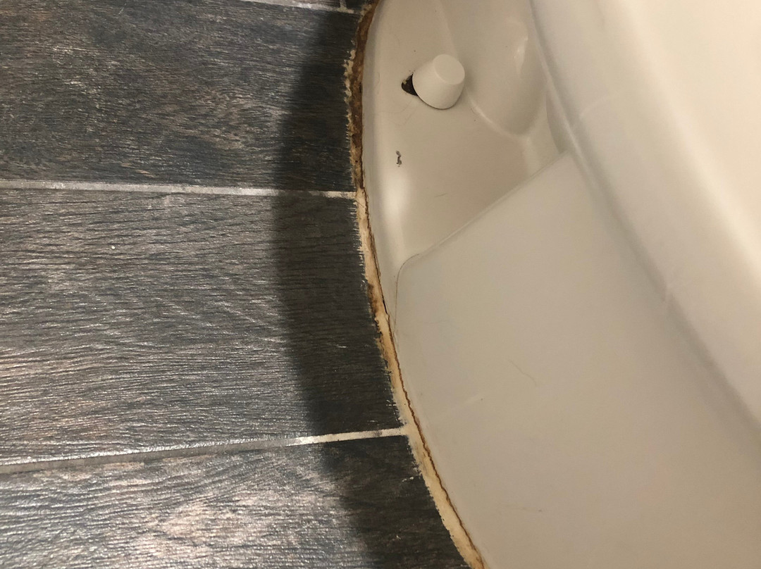 Quality Inn & Suites主图