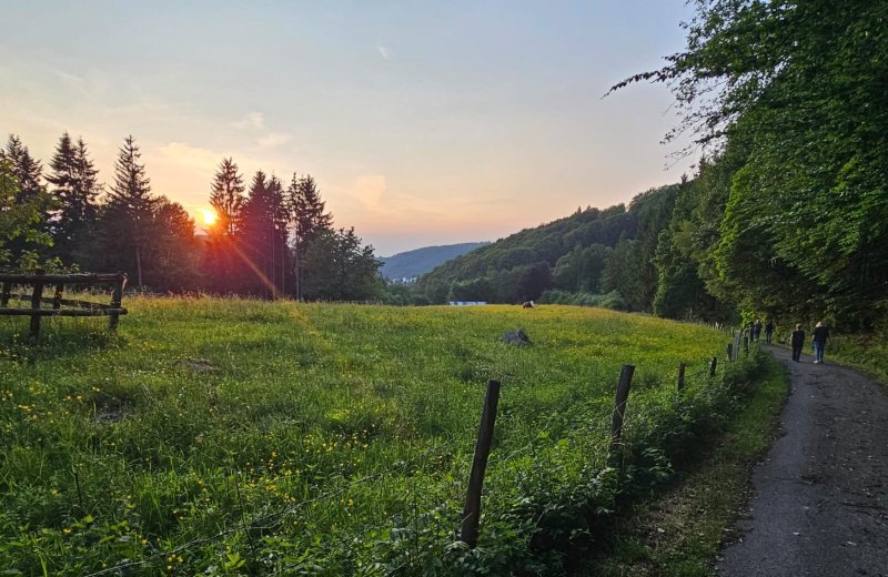 卡梅勒恩家庭式酒店-官方