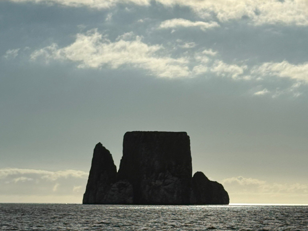 Eco-Challenger Galapagos Tour Agency景点图片
