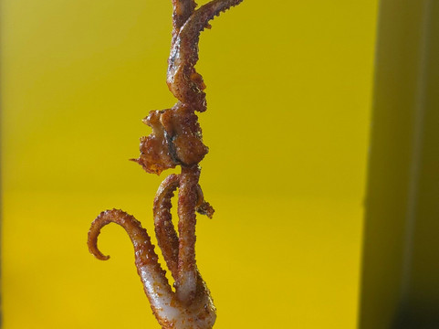 上海吴江路休闲娱乐街-上海市必去景点