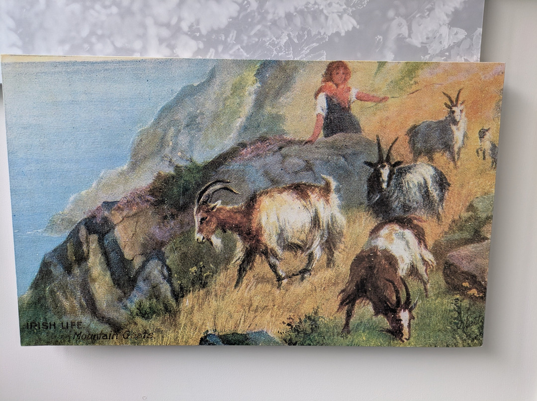 Old Irish Goat Centre-Mulranny必去景点