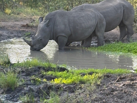 Traveling Man Safaris-庞帕诺比奇必去景点