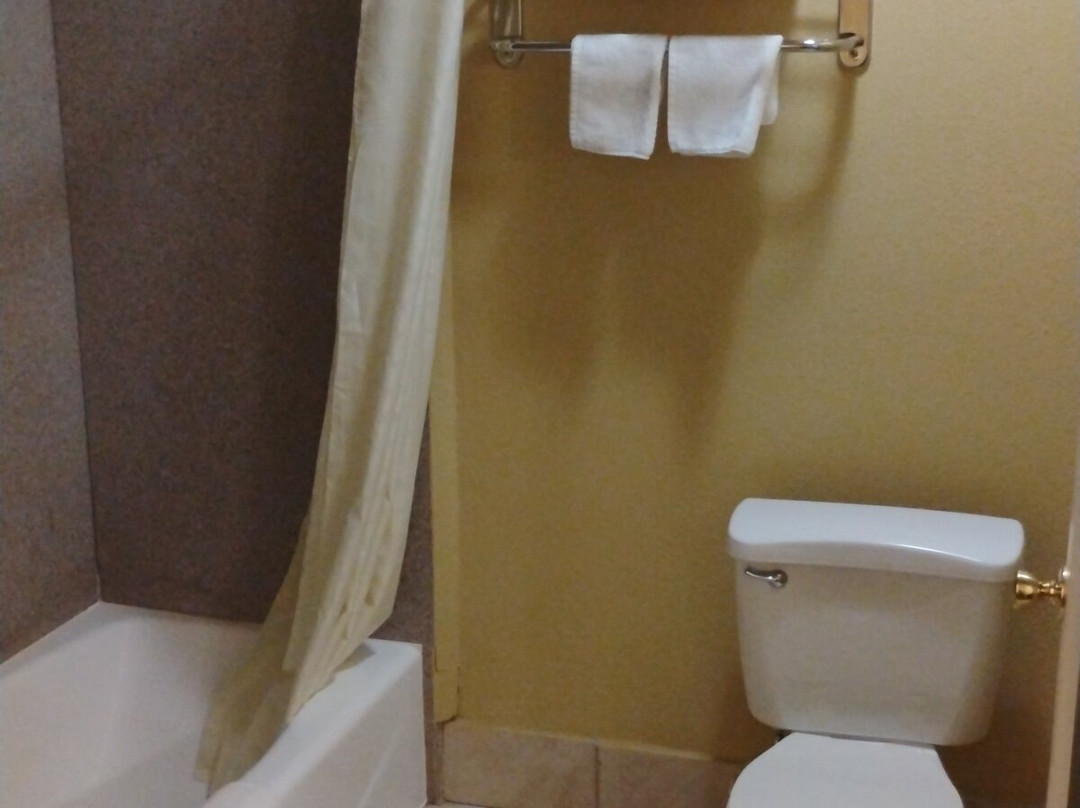 Best Western Executive Inn主图