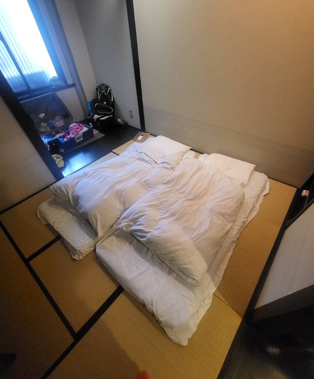 江户樱花饭店-官方