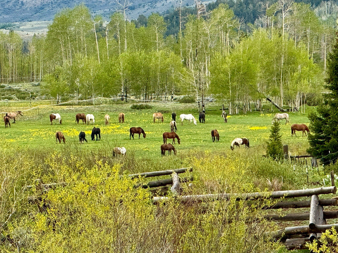 Latigo Ranch-Kremmling必去景点