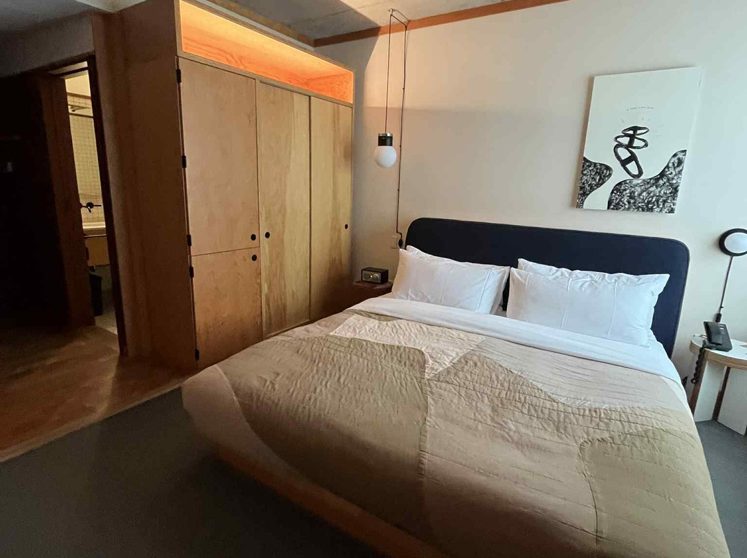 Ace Hotel Toronto主图