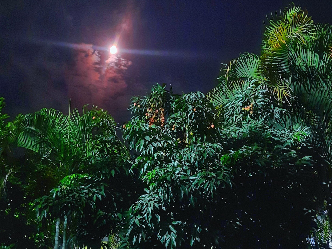 Siddhartha Riverside Resort主图