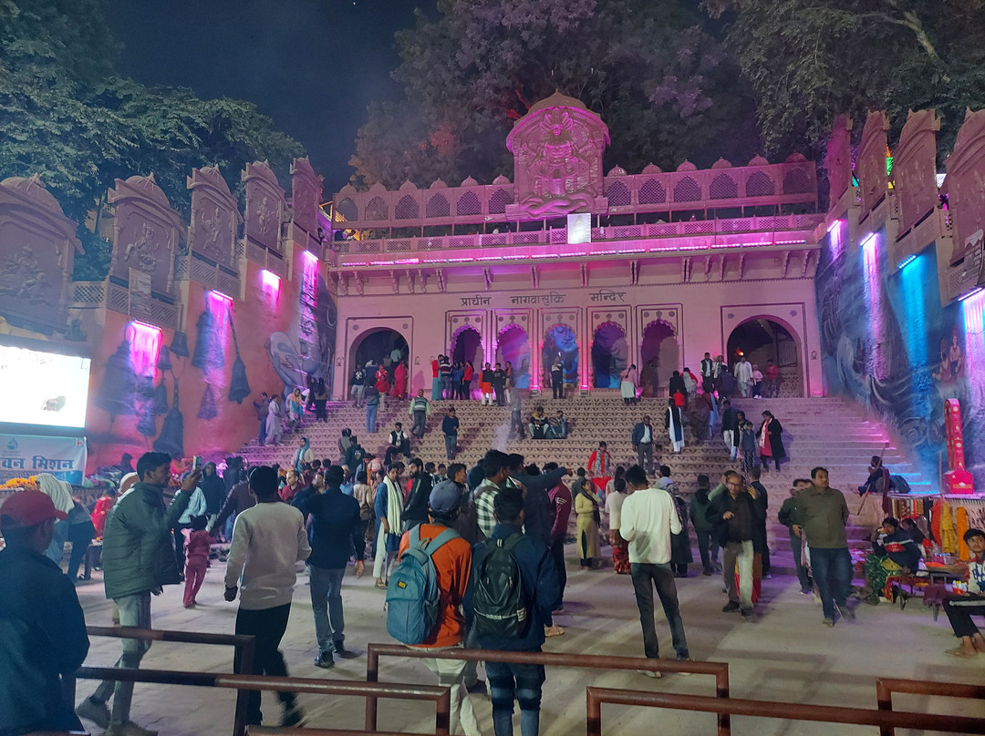 Nagvasuki Temple-阿拉哈巴德必去景点