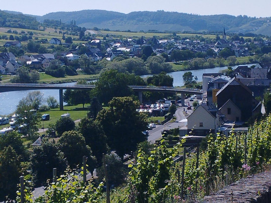 Weingut Staffelter Hof主图