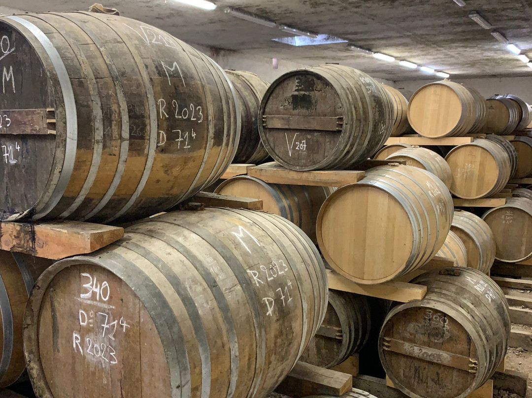 Cognac Raby-Segonzac必去景点