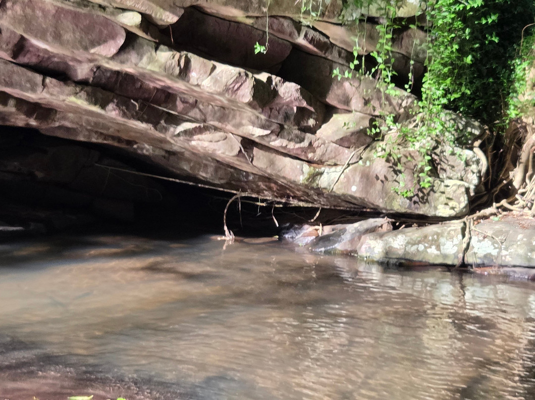 Krantzkloof Nature Reserve-派恩敦必去景点