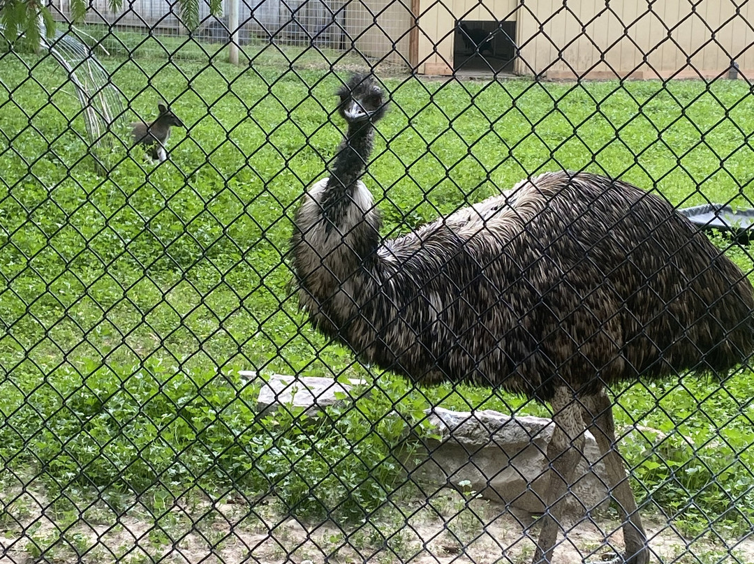 Idaho Falls Zoo-爱达荷福尔斯必去景点