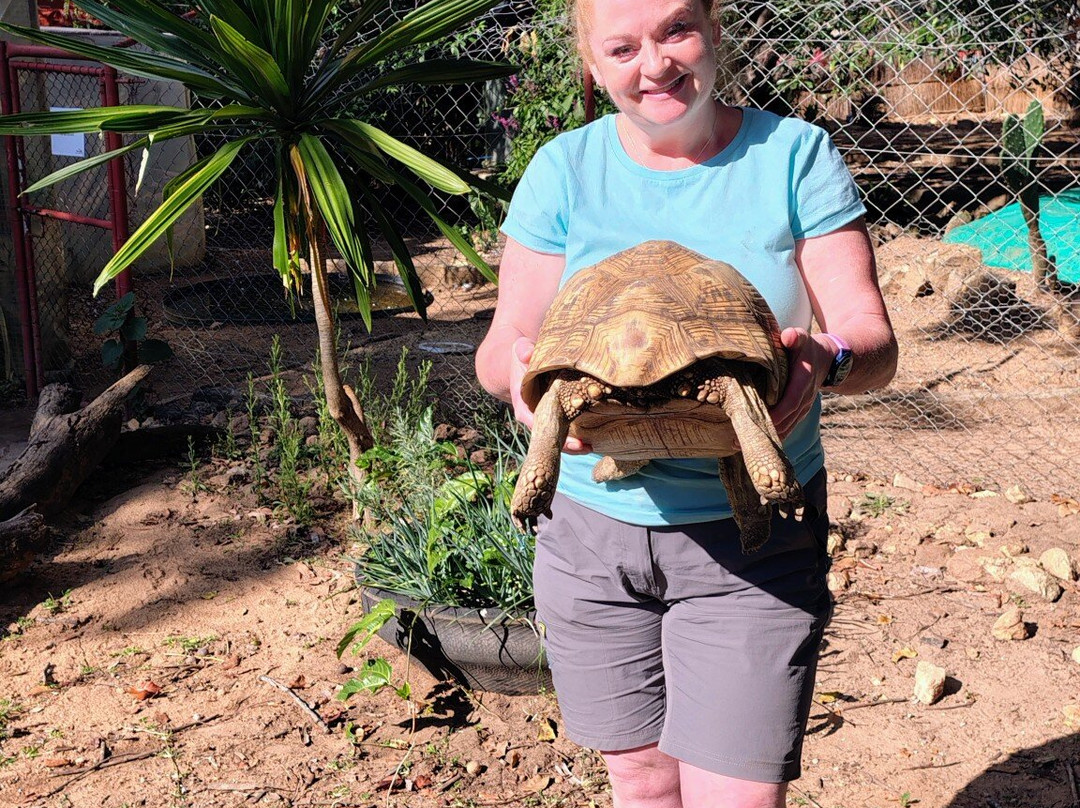 Twala Trust Animal Sanctuary-哈拉雷必去景点