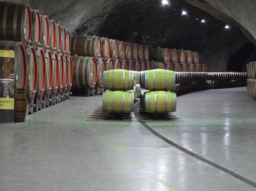 Wine Cellar Šipčanik, 13.jul Plantaže-Tuzi必去景点
