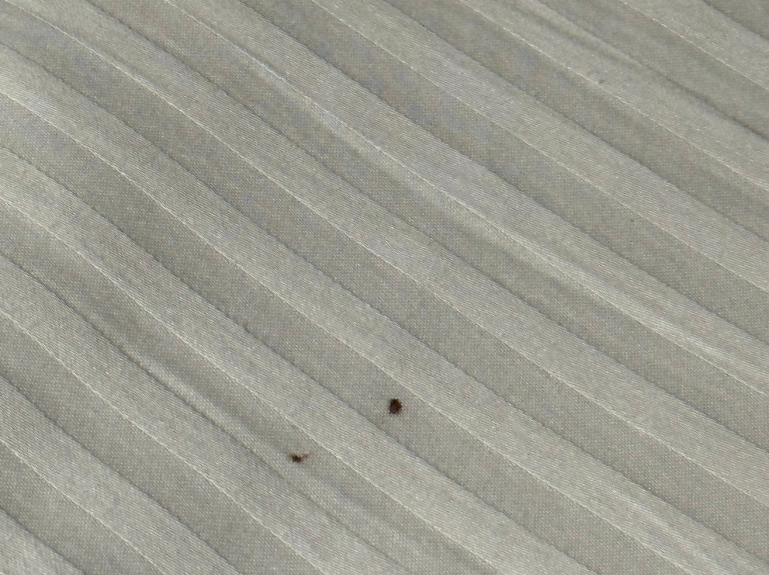 La Quinta Inn By Wyndham West Long Branch主图