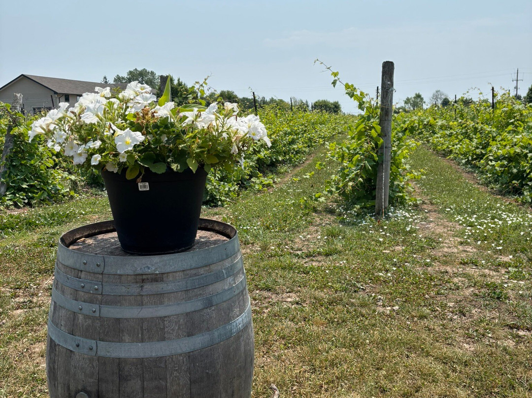Sandbanks Estate Winery-Wellington必去景点