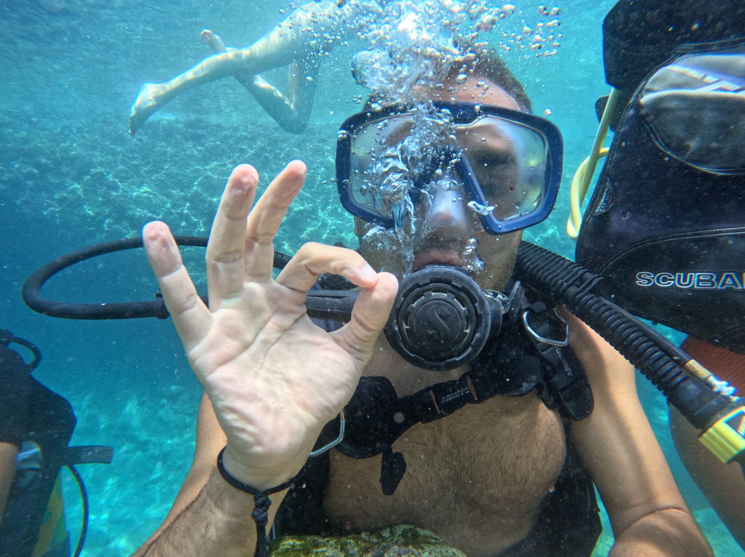 Octopus Diving Center-凯梅尔必去景点