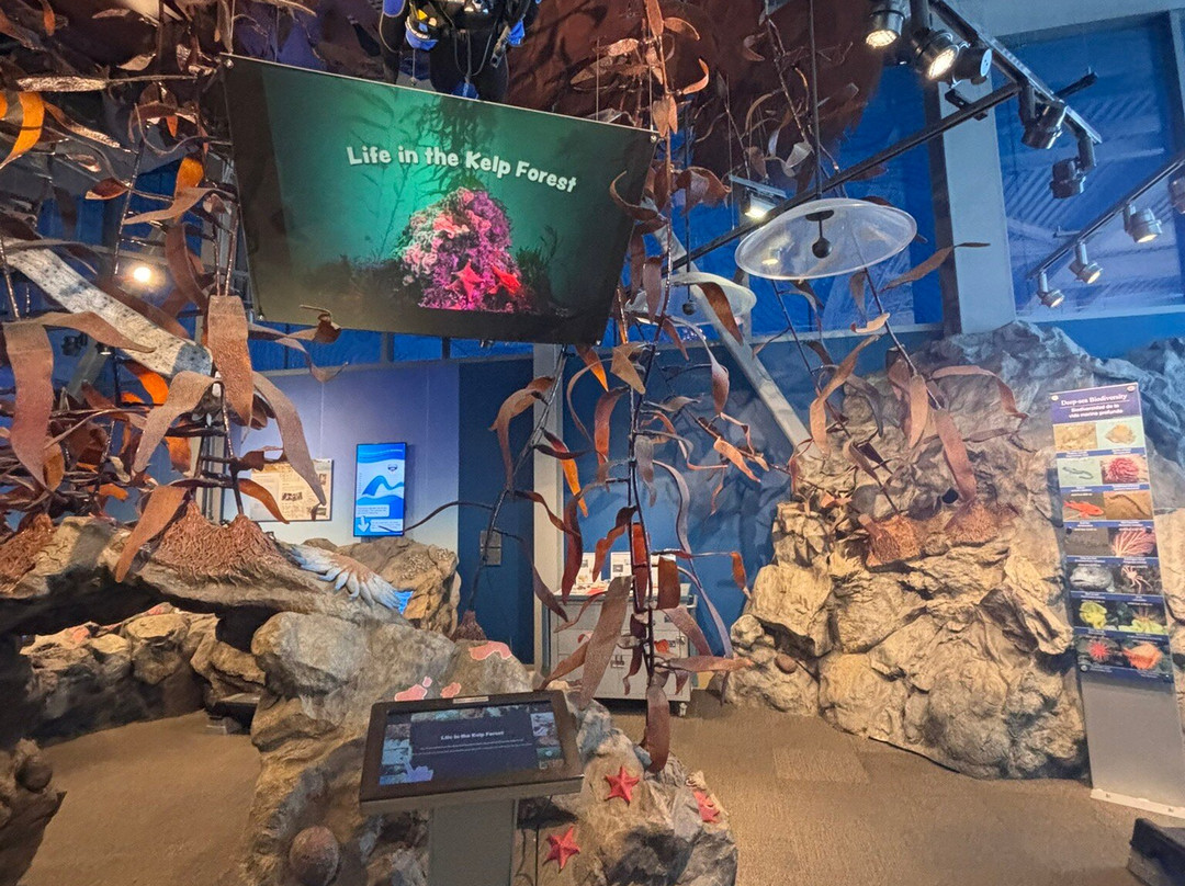 Monterey Bay National Marine Sanctuary Exploration Center-圣克鲁斯必去景点