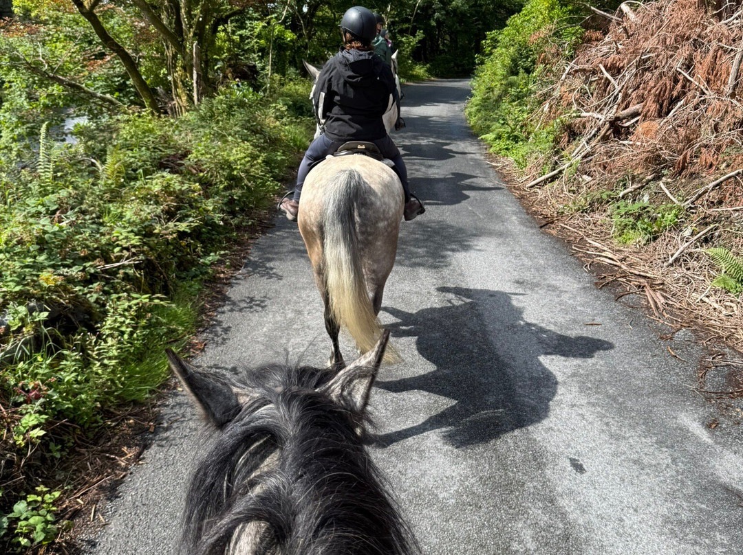 Connemara Equestrian Escapes-Moycullen必去景点