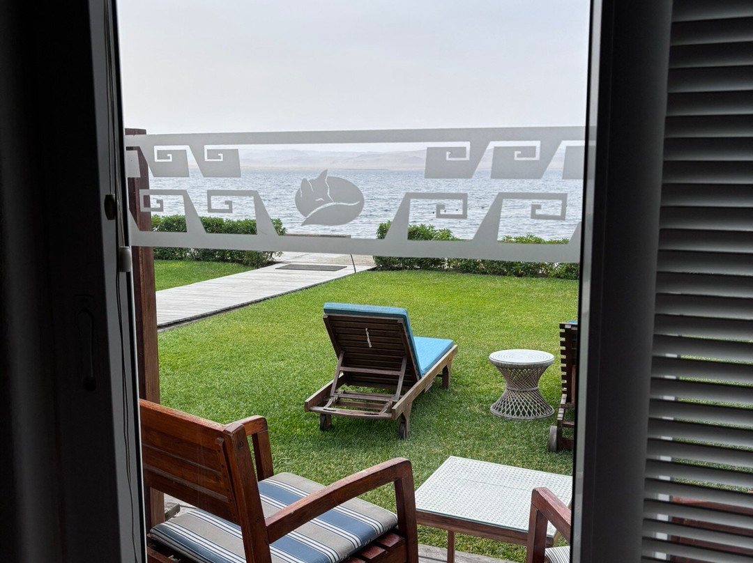 Atoq Paracas Reserva主图