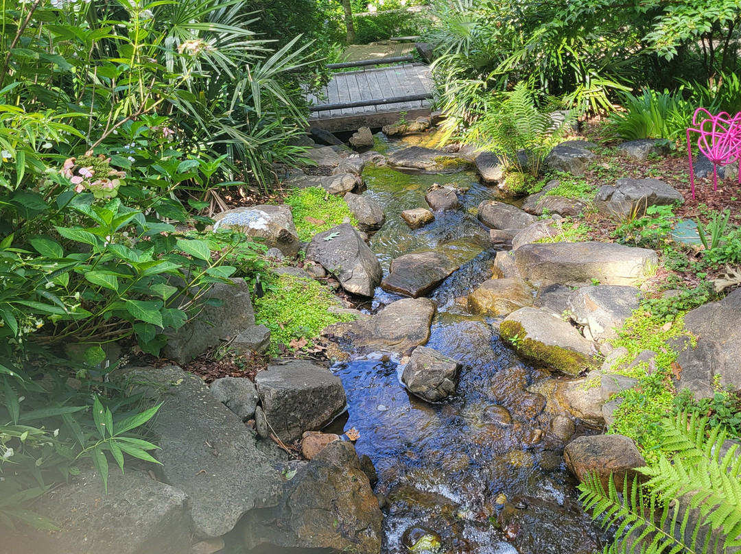 Atlanta Botanical Garden Gainesville-盖恩斯维尔必去景点