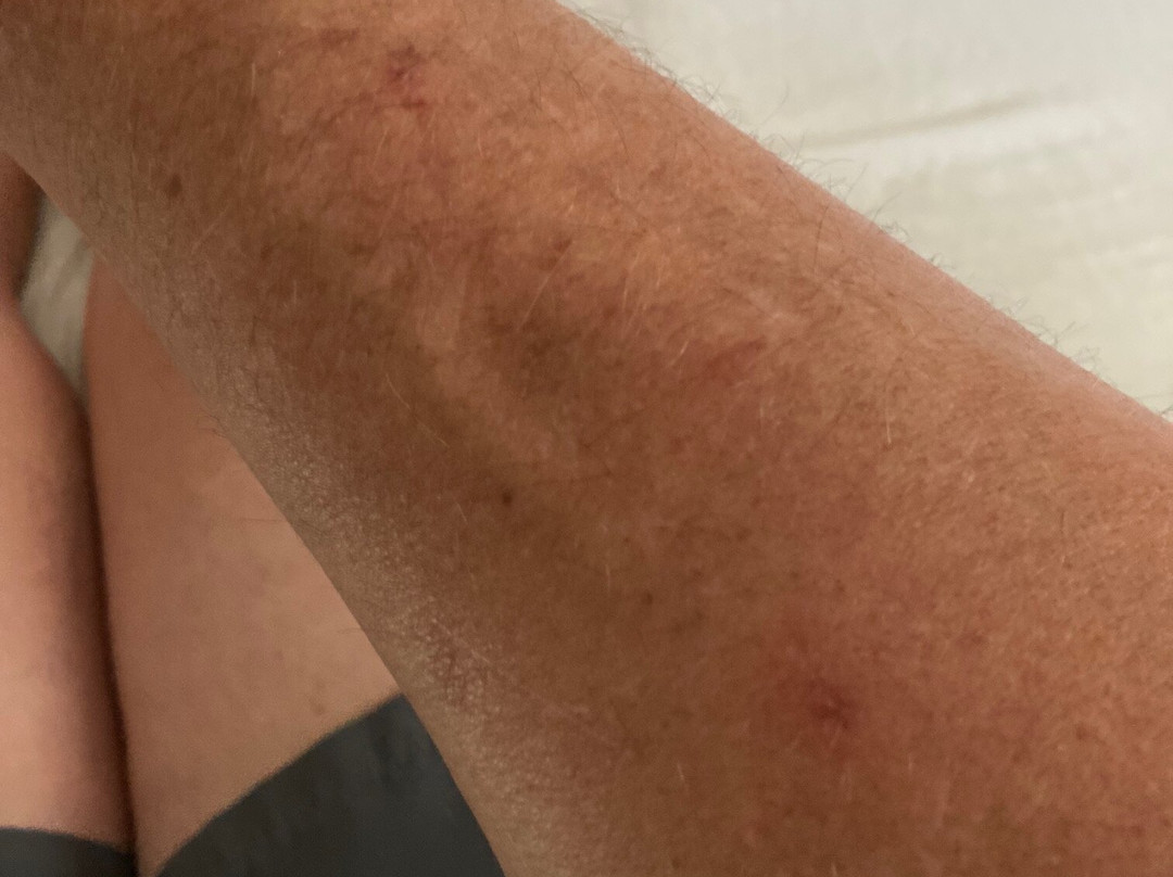 La Quinta Inn & Suites by Wyndham Boone University主图