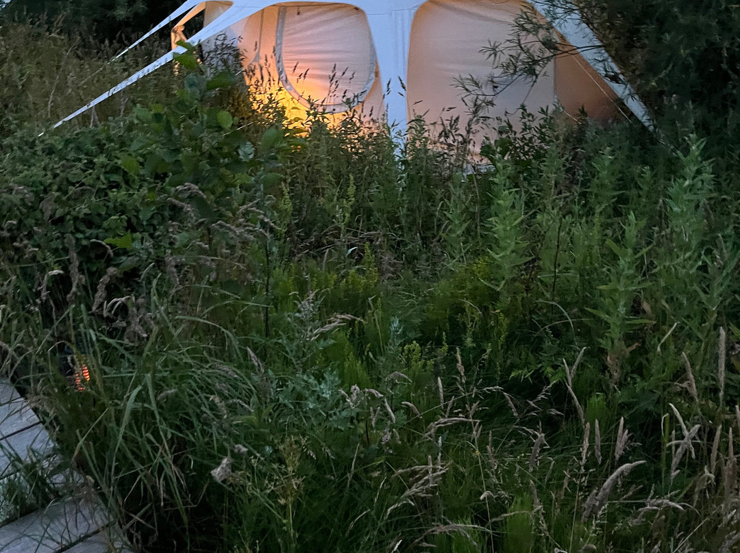 Agger Glamping