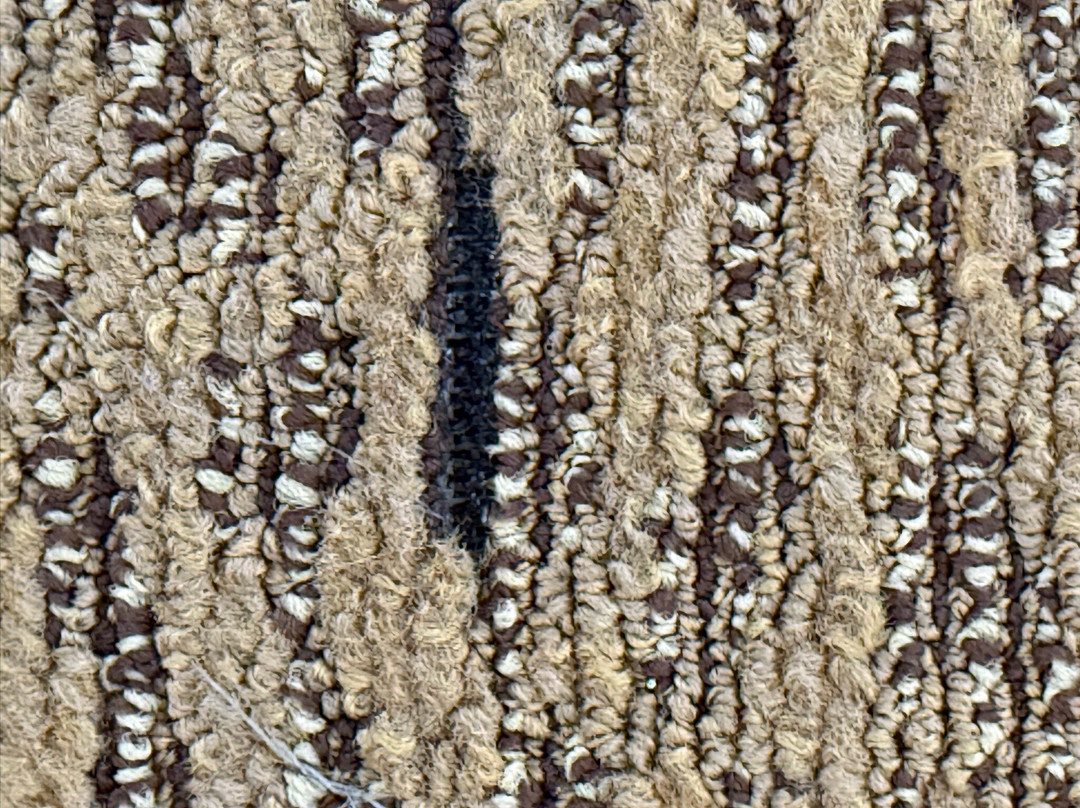 Alluvian Hotel主图