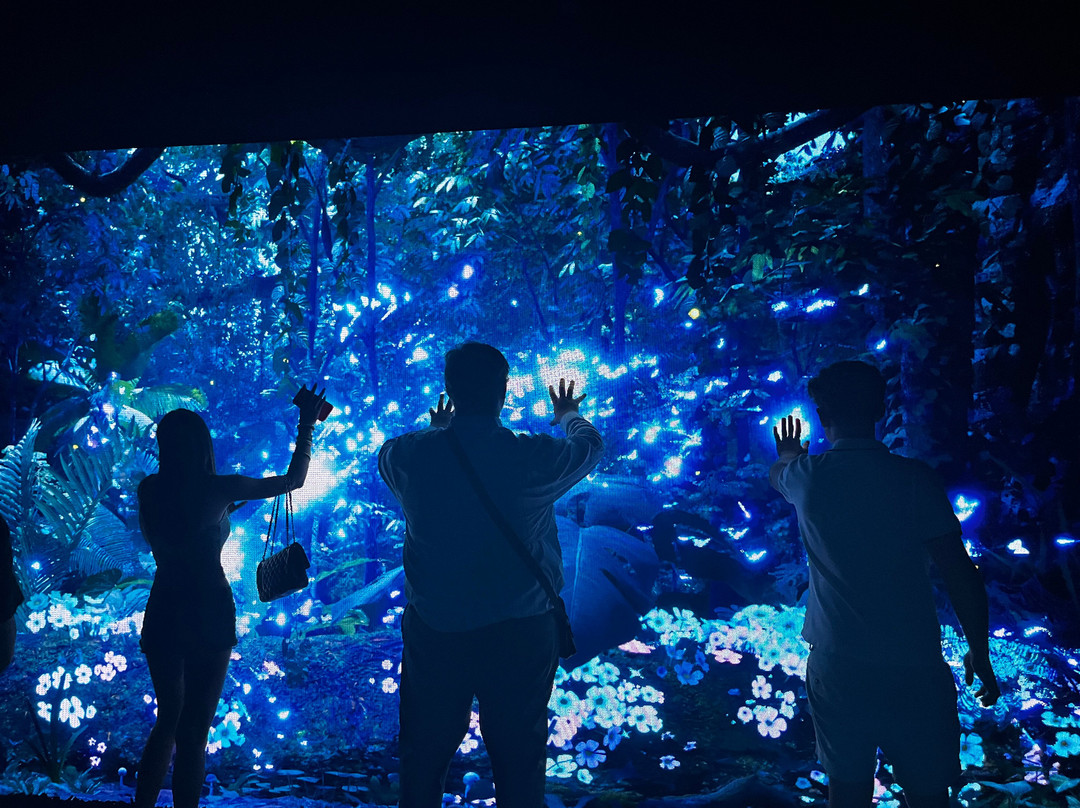 MAD Arts-达尼亚滩必去景点