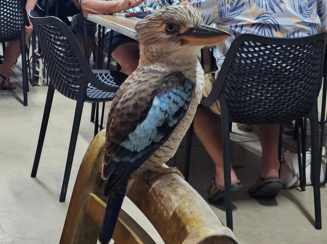 Lucinda Cove Resort主图