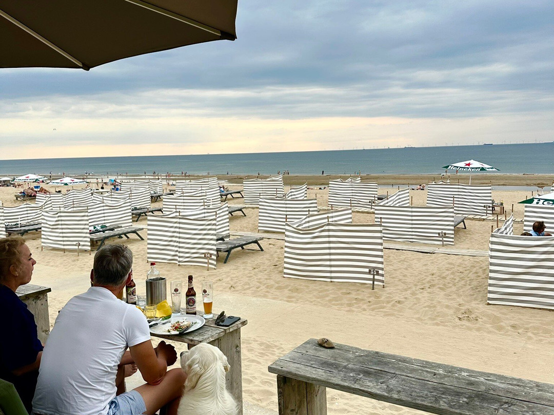 Beach Wassenaarseslag-Wassenaar必去景点