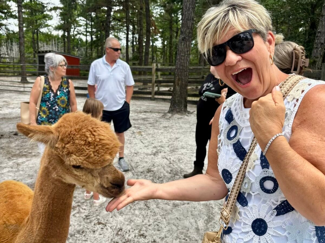 Out Of Sight Alpacas-Waretown必去景点
