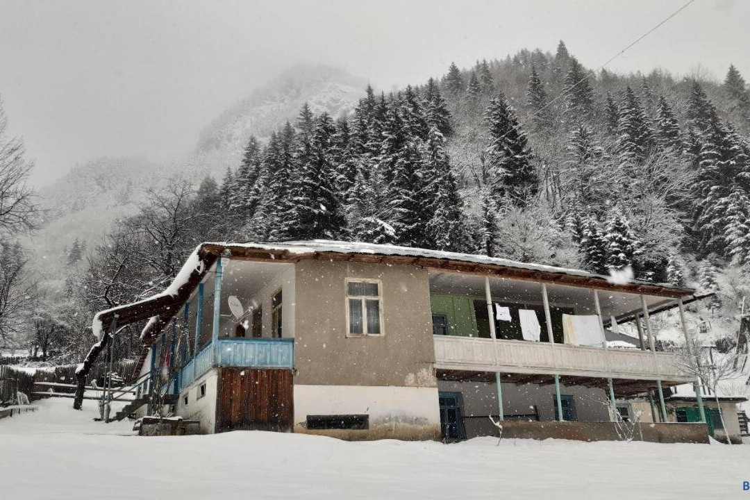 Country House Laia
