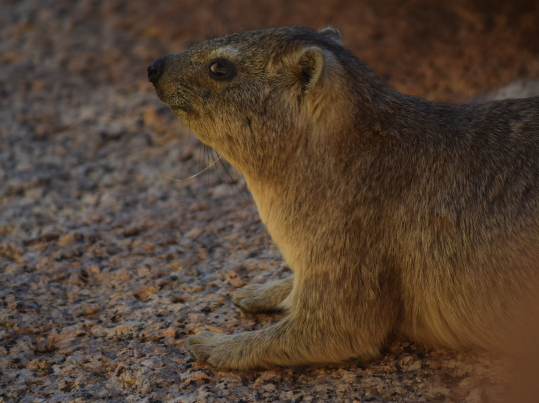 Spitzkoppe-达马拉兰必去景点