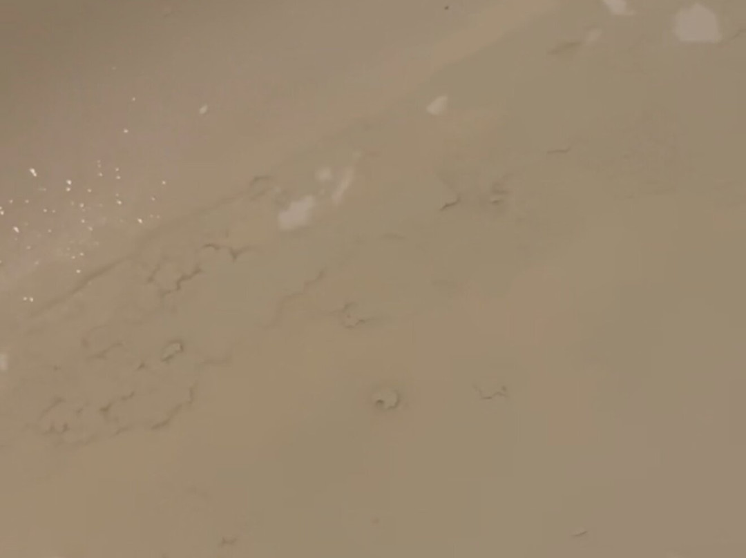 Best Western Windsor Inn主图