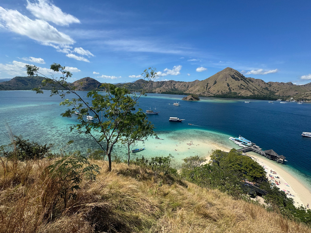 Top Komodo Tours-Labuan Bajo必去景点