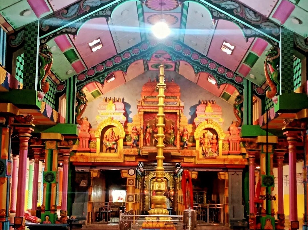 Dambakola Patuna Sangamitta Temple-贾夫纳必去景点