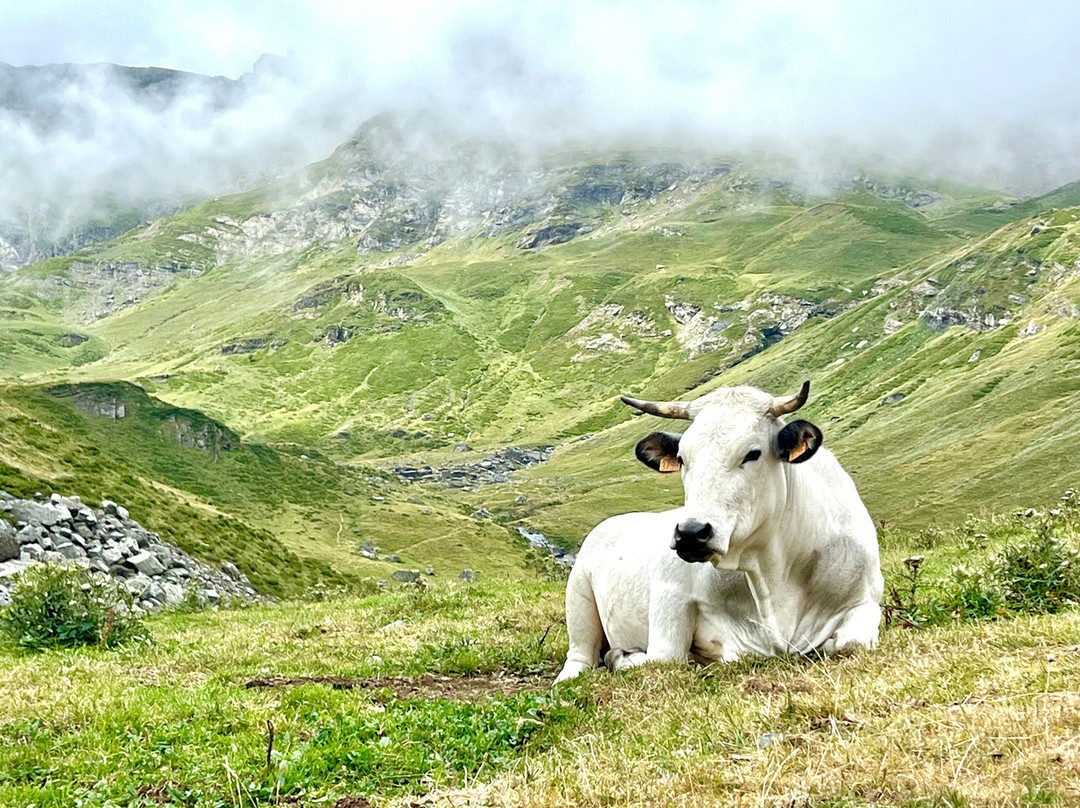 Lac de Badet-Aragnouet必去景点