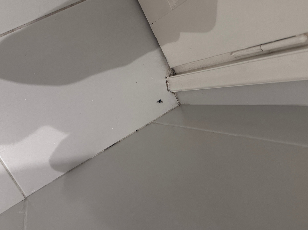 Folies Corfu Hotel Apartments主图