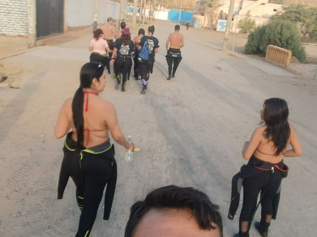 Chelonia Dive Center-Organos必去景点