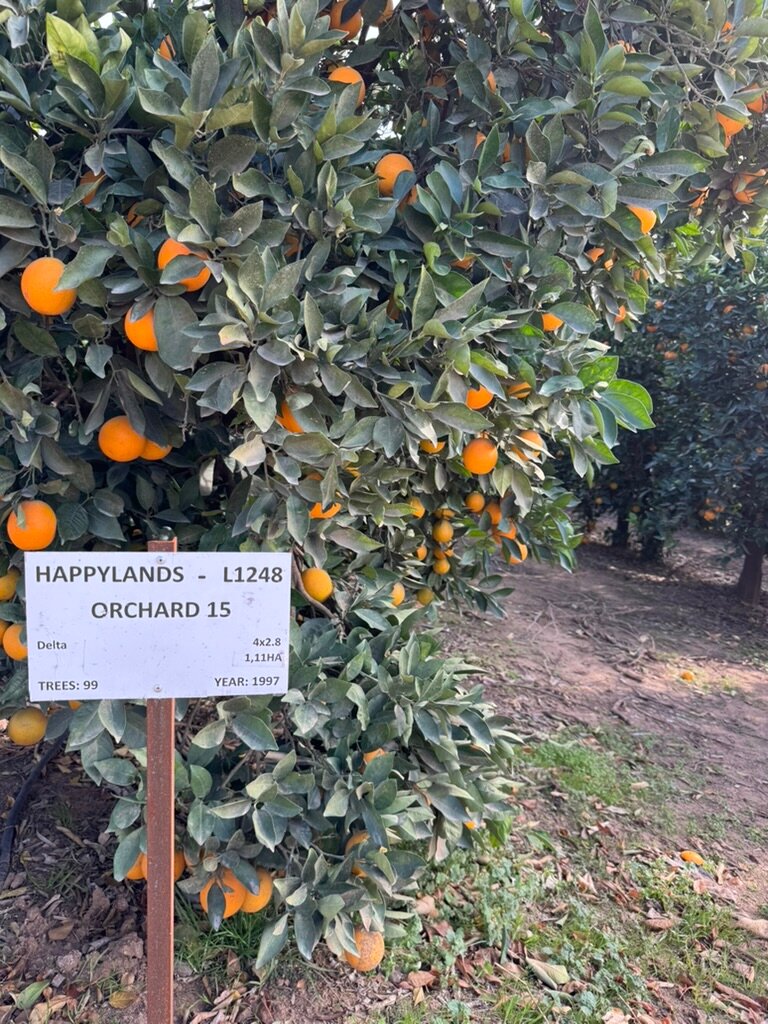 Happy Lands Farmstay-官方