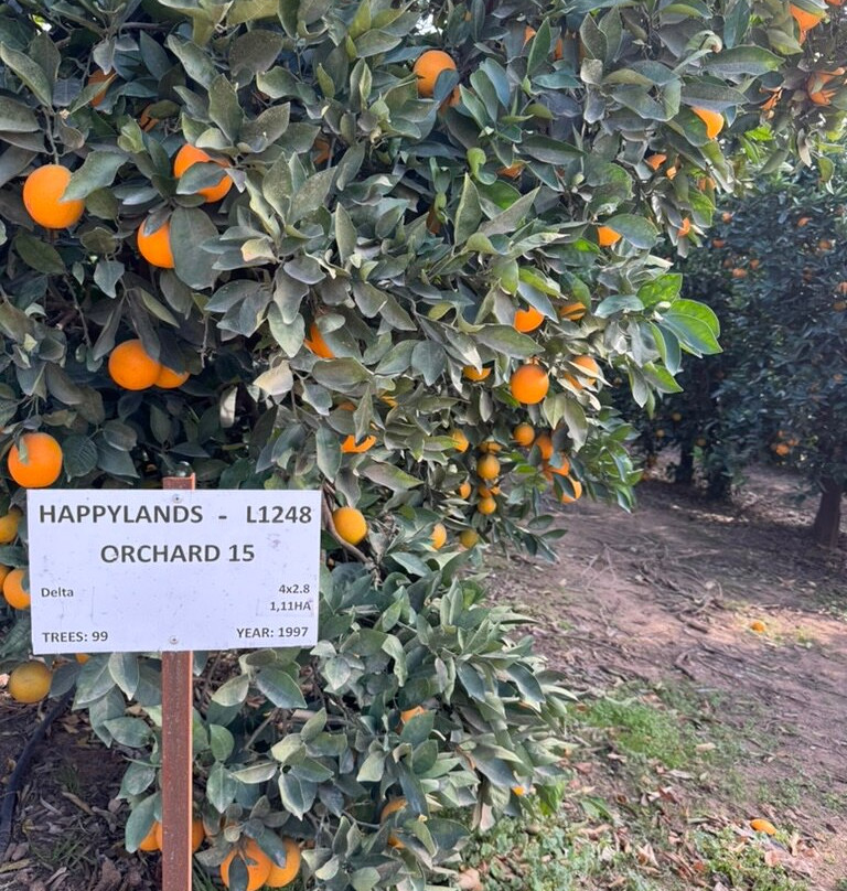 Happy Lands Farmstay主图