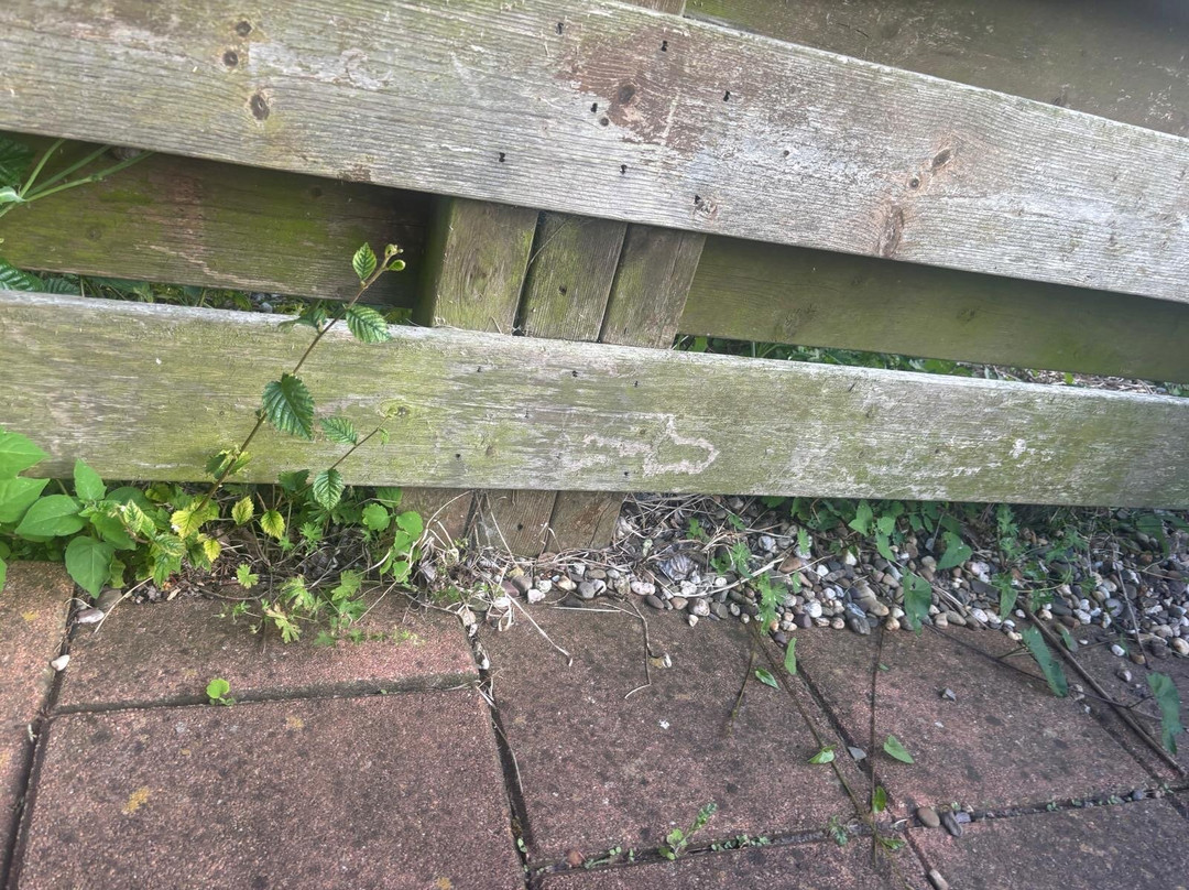 多洛雷斯酒店主图