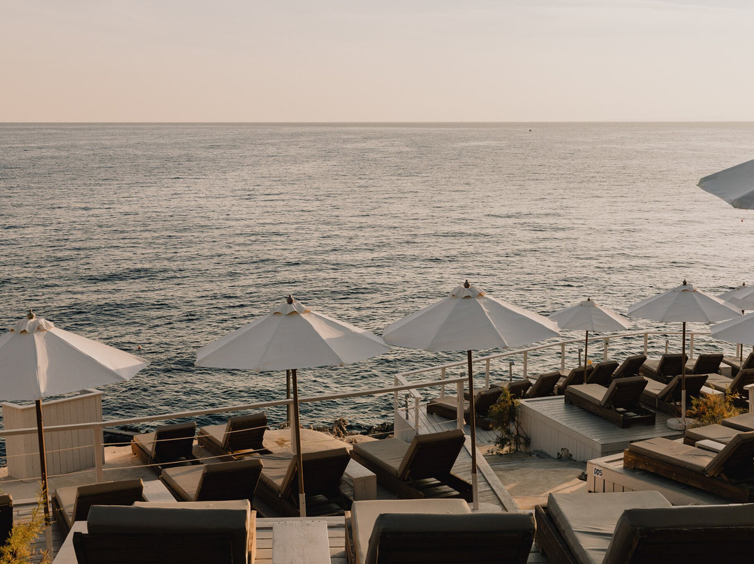 The Peligoni Club主图