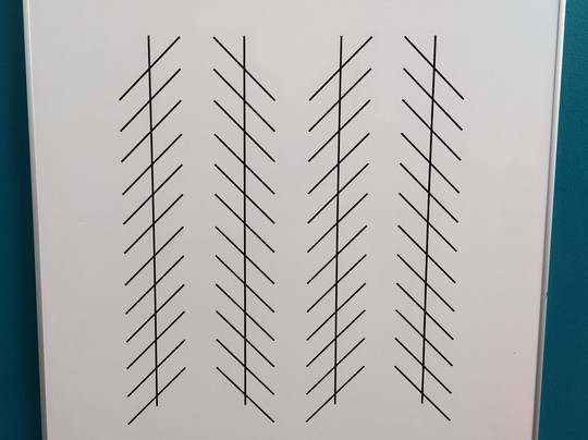 Museum of Illusions-维也纳必去景点