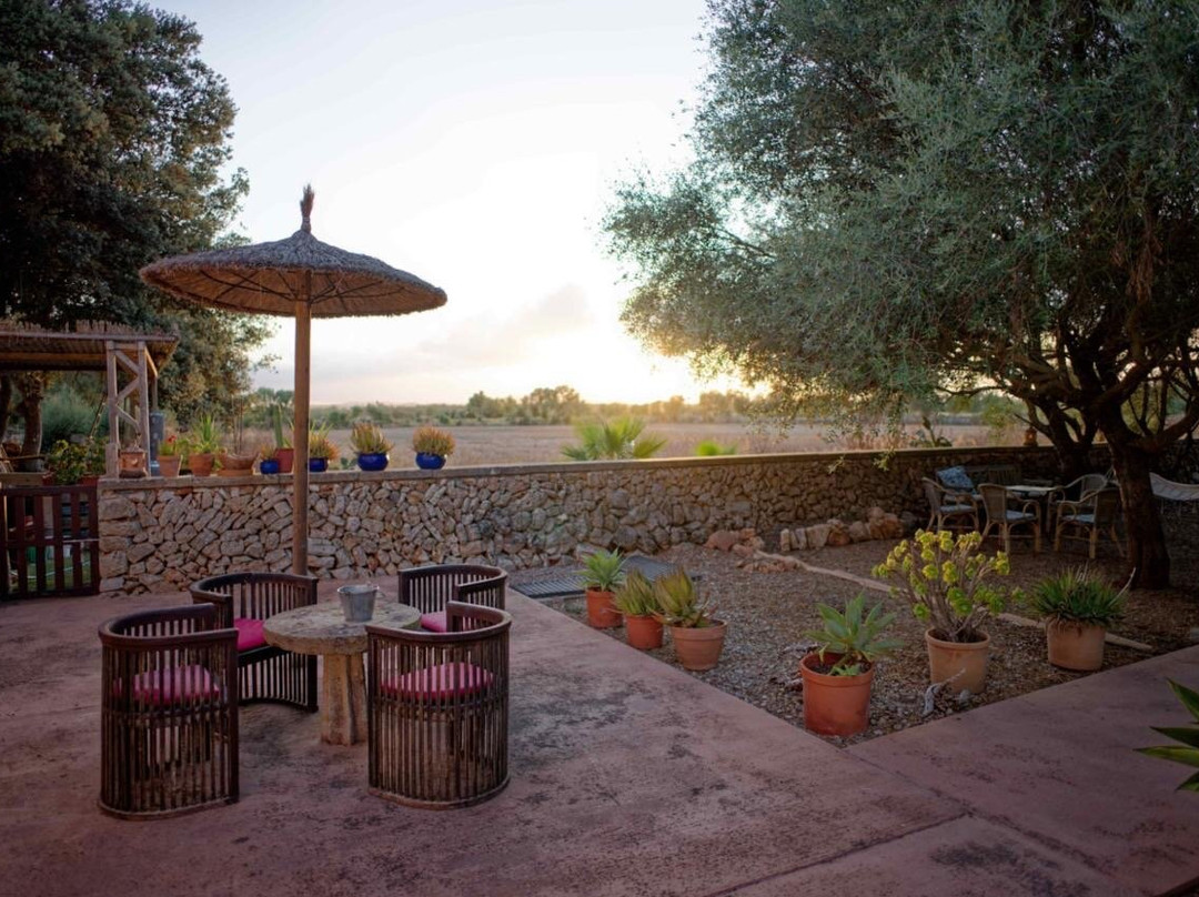 Agroturismo Fincahotel Son Pou Felanitx主图