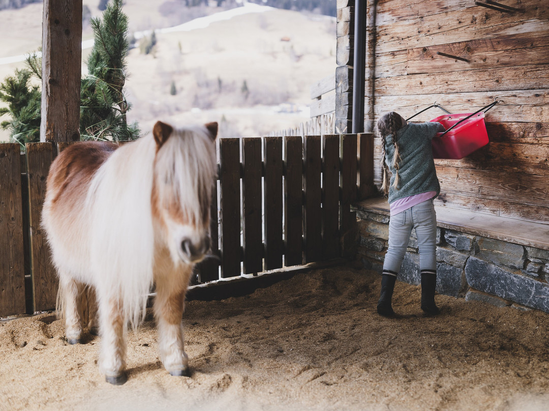 Familienresort Ellmauhof - das echte All Inclusive