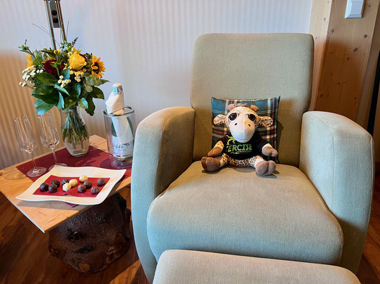 Hotel Schwarzwaldresort Rößle主图